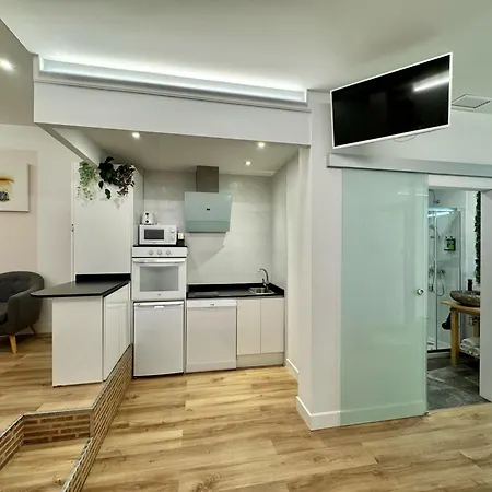 Lejlighed Loft Centre